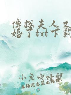 傅总夫人又闹离婚了txt下载