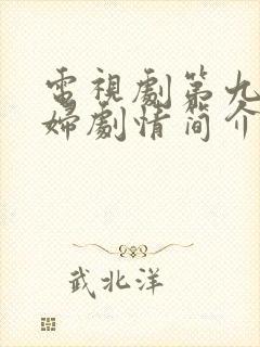 电视剧第九个寡妇剧情简介