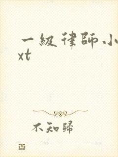 一级律师小说txt