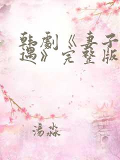 韩剧《妻子的外遇》完整版在线播放