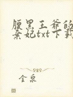 腹黑王爷的绝色弃妃txt下载