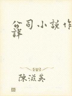 公司小说作者不详