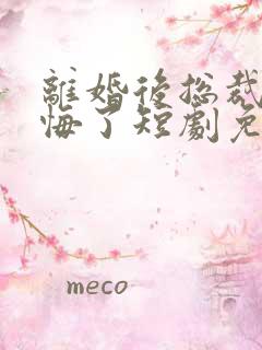 离婚后总裁他后悔了短剧免费观看