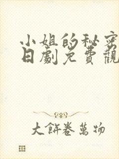 小姐的秘密生活日剧免费观看全集
