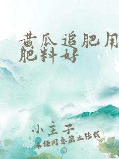 黄瓜追肥用什么肥料好