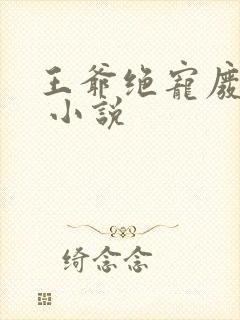 王爷绝宠废柴妃 小说