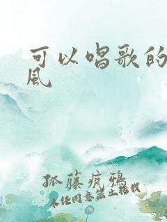 可以唱歌的麦克风