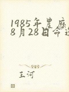 1985年农历8月28日命运