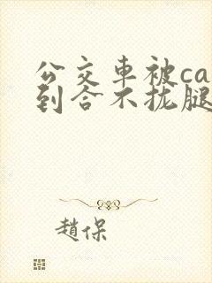 公交车被cao到合不拢腿小说