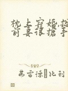 枕上宠婚,总裁前妻很抢手小说