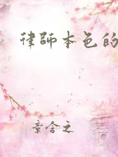 律师本色的小说
