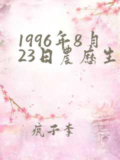 1996年8月23日农历生辰八字