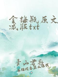 金梅瓶原文未删减版txt