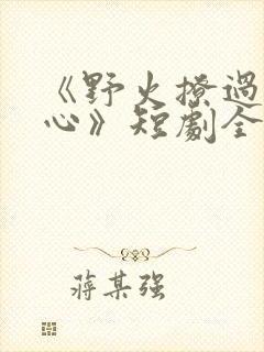 《野火撩过姐姐心》短剧全集