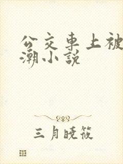 公交车上被弄高潮小说