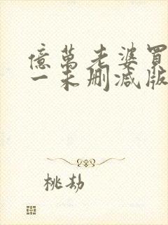 亿万老婆买一送一未删减版