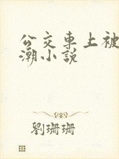 公交车上被摸高潮小说