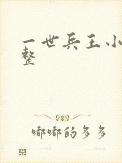 一世兵王小说完整