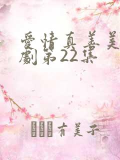 爱情真善美电视剧第22集