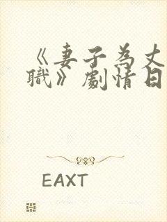 《妻子为丈夫升职》剧情日本版