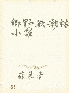 乡野欲潮林天成小说