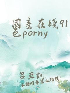 国产在线91九色porny