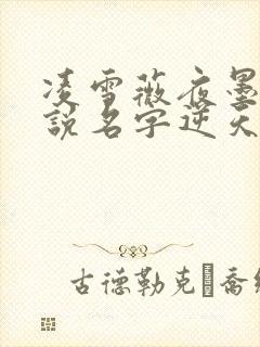 凌雪薇夜墨炎小说名字逆天狂妃,邪帝用力宠