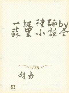 一级律师by木苏里小说全文免费阅读