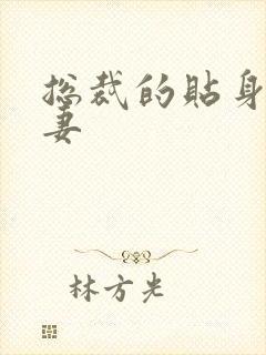 总裁的贴身下堂妻