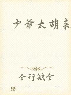少爷太胡来