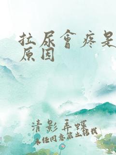 拉尿会疼是什么原因