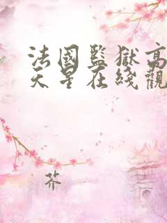 法国监狱高压满天星在线观看完整免