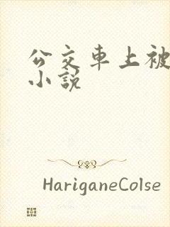 公交车上被摸的小说