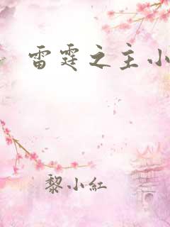 雷霆之主小说