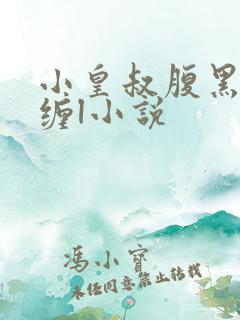 小皇叔腹黑又难缠l小说