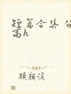 短篇合集 公车高h