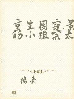 重生团宠,景爷的小祖宗太粘人全文免费阅读