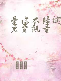 爱你不归途短剧免费观看