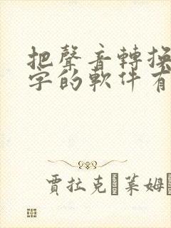 把声音转换成文字的软件有哪些