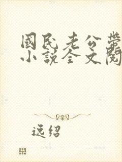 国民老公带回家小说全文阅读