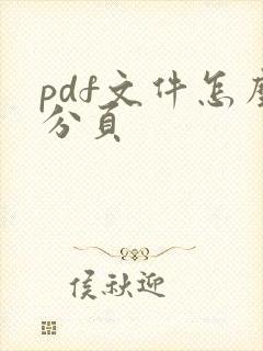 pdf文件怎么分页