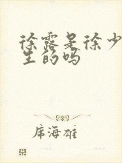 徐露是徐少华亲生的吗