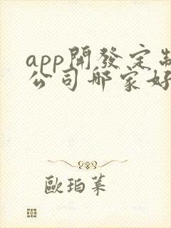 app开发定制公司哪家好做