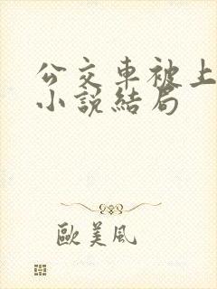 公交车被上高潮小说结局
