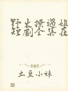 野火撩过姐姐心短剧全集在线观看