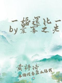 一婚还比一婚高by晨雾之光讲的什么