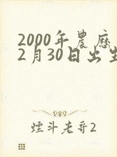 2000年农历2月30日出生命运