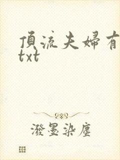 顶流夫妇有点甜txt