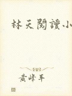 林天阅读小说