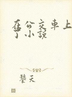 在公交车上高潮了小说